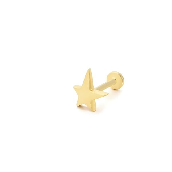 Deniz Yıldızı Altın Piercing