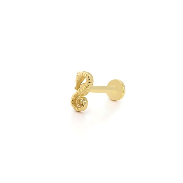 Deniz Atı Altın Piercing