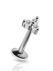 Oria Aselet ve Dengeli Güzellik Cerrahi Çelik Labret Piercing