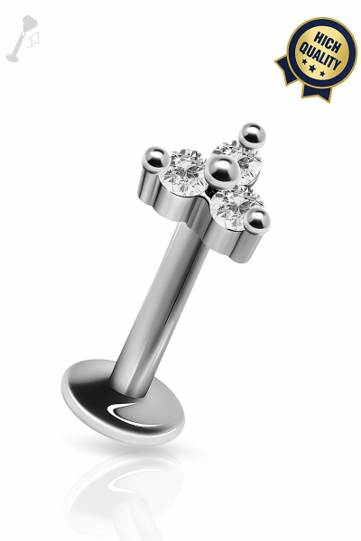 Oria Aselet ve Dengeli Güzellik Cerrahi Çelik Labret Piercing
