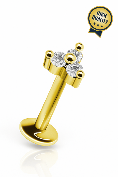 Oria Aselet ve Dengeli Güzellik Cerrahi Çelik Labret Piercing